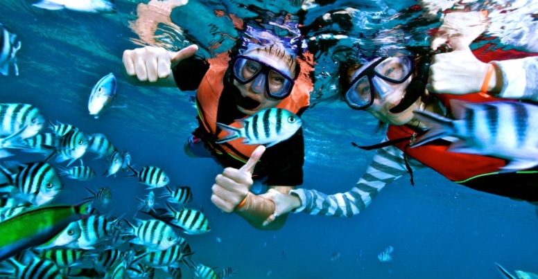 Contoh Cabang Olahraga Air Dan Gambarnya