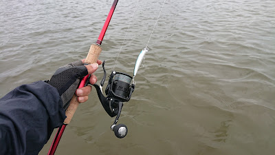 スコーピオン2831