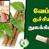 neem stick benefits in tamil