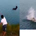 Malnacido lanza un cachorro al agua para que los cocodrilos lo devoren
