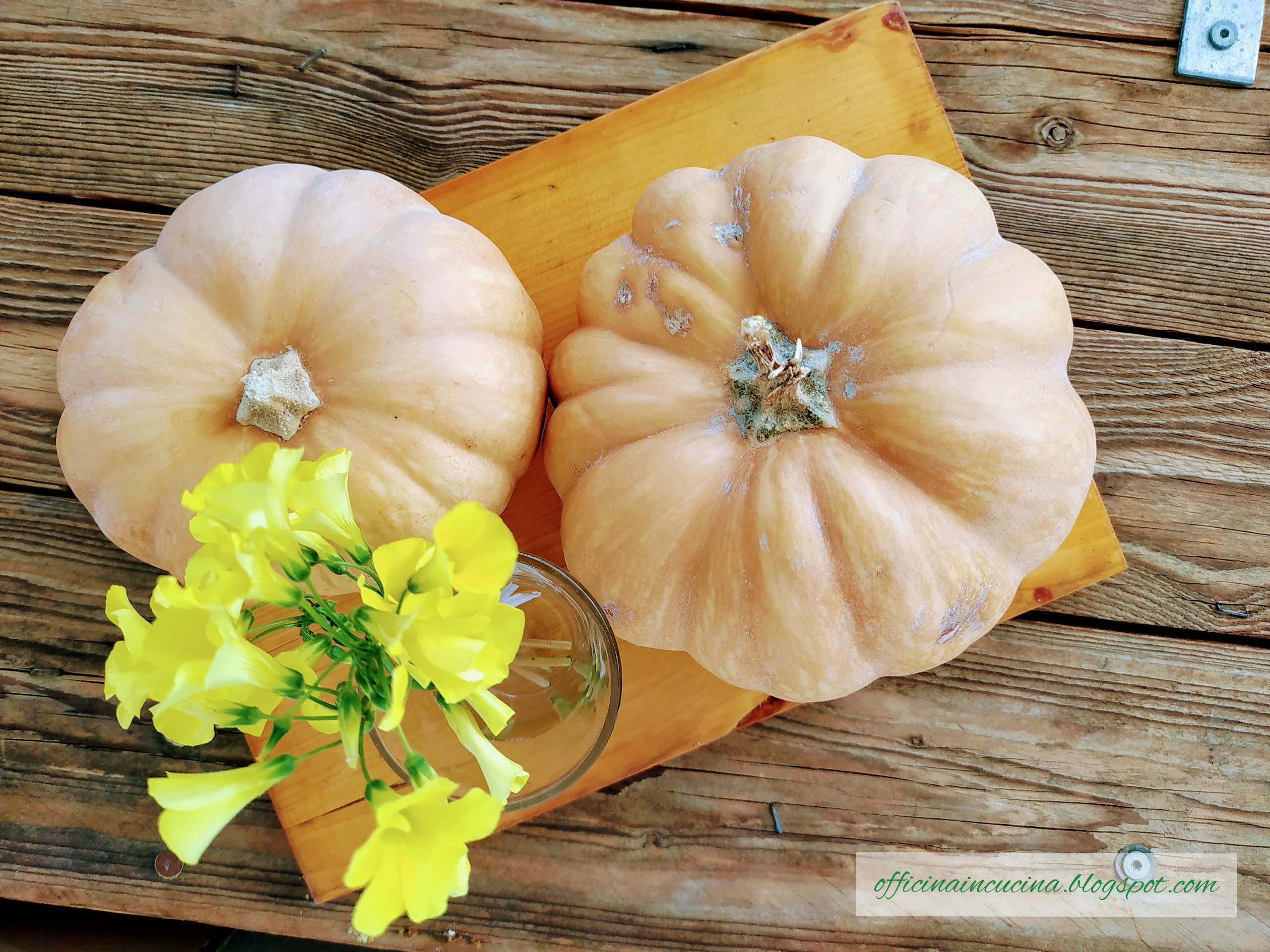 Risotto Zucca & Radicchio