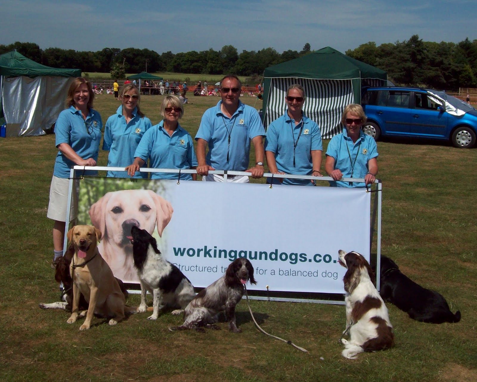Working Gundogs Grade 1 Group Gundog Training Brixworth Northamptonshire