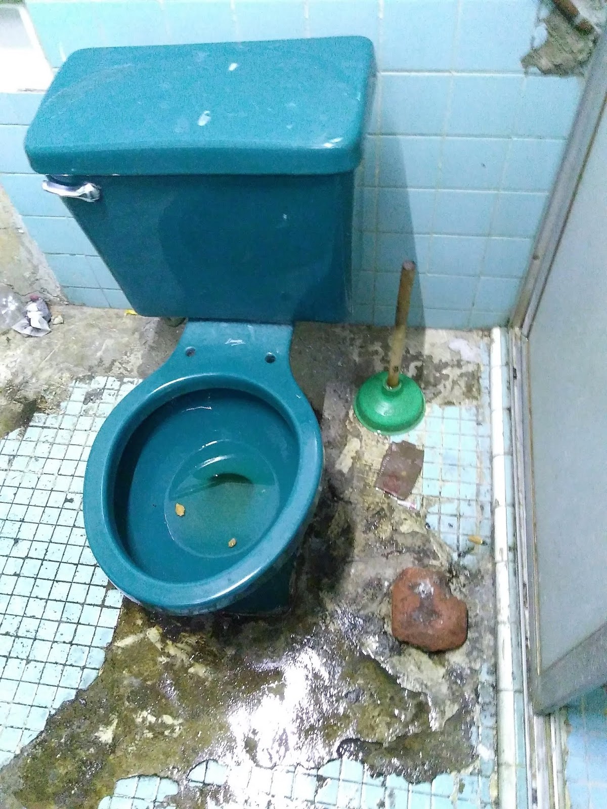 Living Rootless Mexico City Toilets I Have Known, Including This One