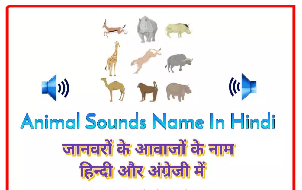 जानवरों की आवाज के नाम हिन्दी और अंग्रेजी में | Animal Sounds Name In Hindi  - ज्ञान की बुक