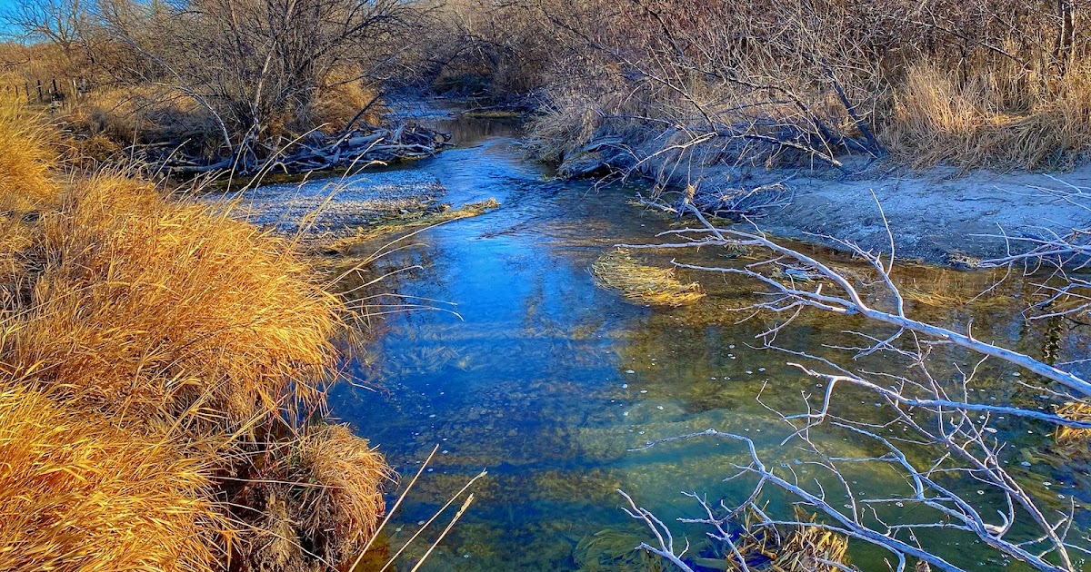 Northport Blues A Comforting Tapestry