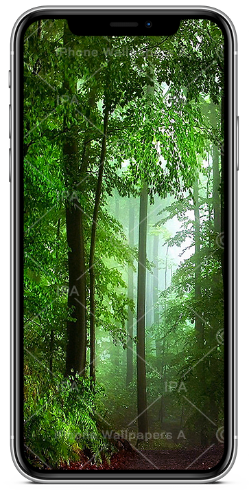 Forest Wallpapers for iPhone