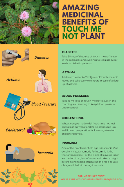 Medicinal Uses of 'Touch Me Not Plant'