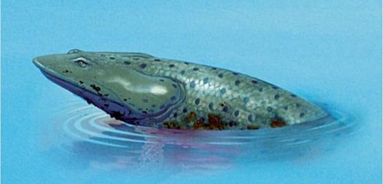 Blog de la Vida Prehistórica Elpistostege