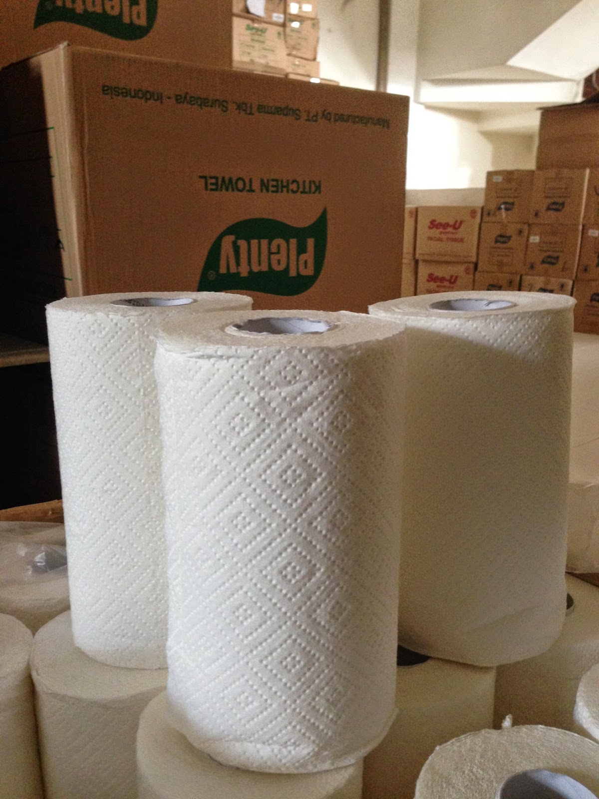 WHOLESALE TISSUE & TOWELS Plenty Hand Roll Towel ( HRT )