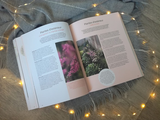 Bien chez moi Cynthia Dulude 