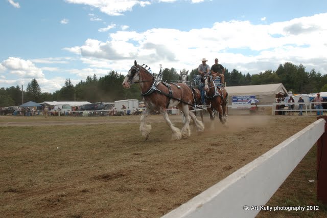 Living Off Grid - 45.05 N, 77.85 W: KINMOUNT FAIR - HORSE SHOW