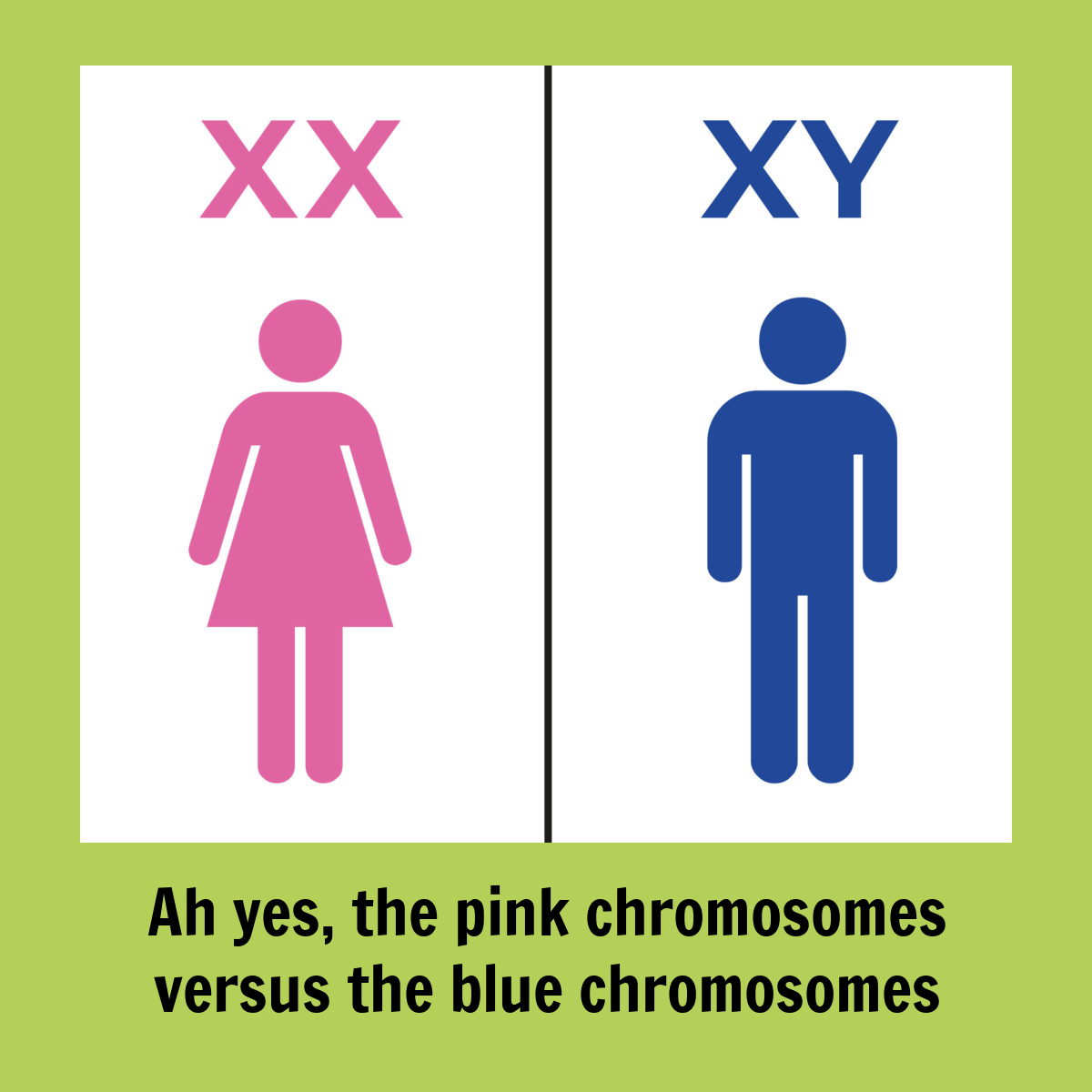 Интерсекс персонажи фанфики. Хромосомы мужчины. Женские и мужские хромосомы. XX XY хромосомы. Хромосомы у мужчин и женщин