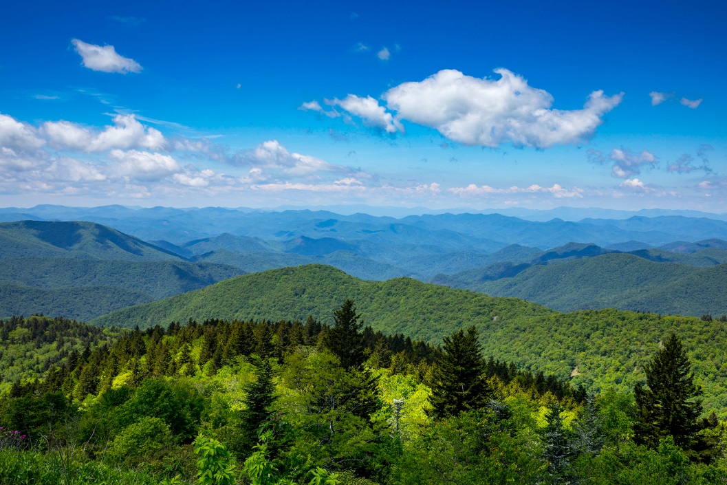 Chi viaggia impara Immagini dal mondo Stati Uniti d'America Carolina