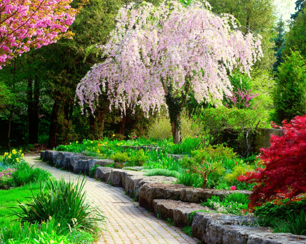 fond d’ecran gratuit 1280×1024