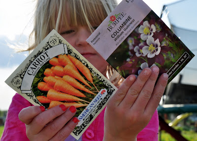 planting time - carrots