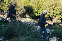 Περπατώντας στο αρχαίο λιθόστρωτο. Φωτό από την πεζοπορία του ΟΠΣ Ικαρίας από το Στελί στον Κάμπο την Κυριακή 28/11/21