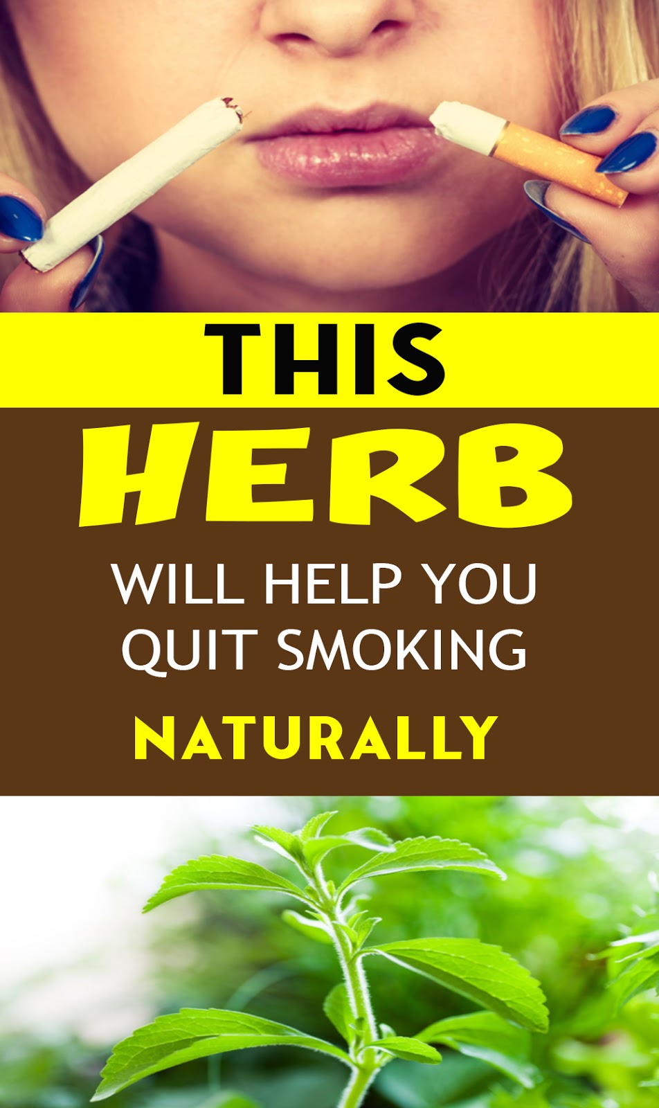 SMOKERS This POWERFUL Herb Instantly Destroys Your Desire for Nicotine!