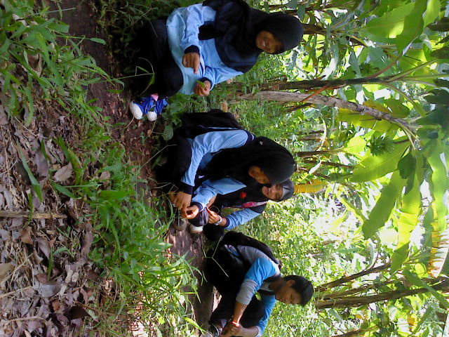 Hiking PMR WIRA SMA Negeri 1 Janapria Anggar Septiandi