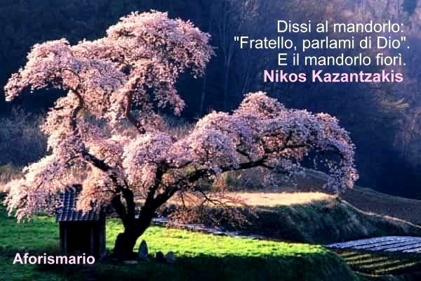 Aforismario Aforismi Frasi E Citazioni Sul Mandorlo