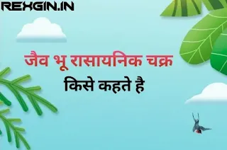 जैव भू रासायनिक चक्र - biogeochemical cycle in hindi