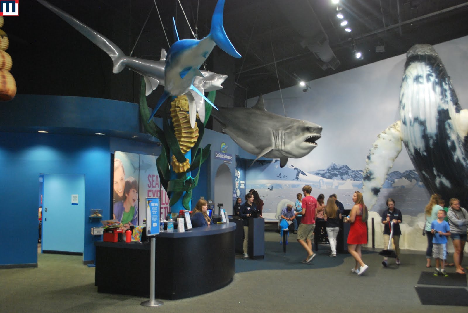 MidwestInfoGuide Newport Aquarium