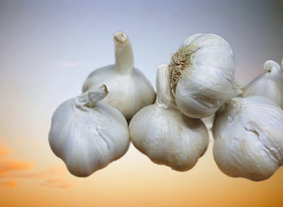 How to lose weight with garlic and honey by shfrni10 article-https://shfrni10.blogspot.com/2021/06/How-to-lose-weight-with-garlic-and-honey.html
