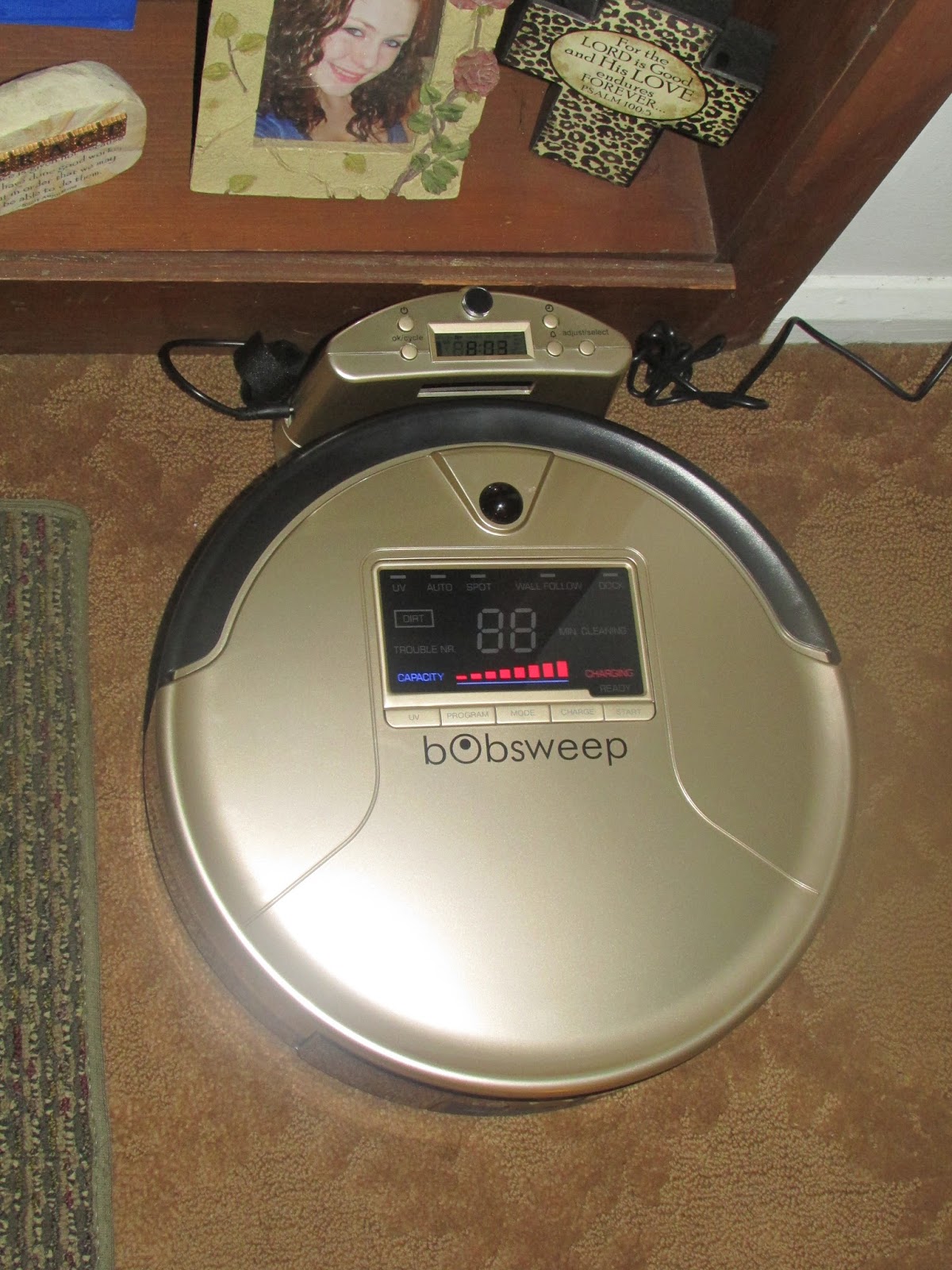 bObsweep PetHair: An Innovative Way to Vacuum - Review | Heck Of A
