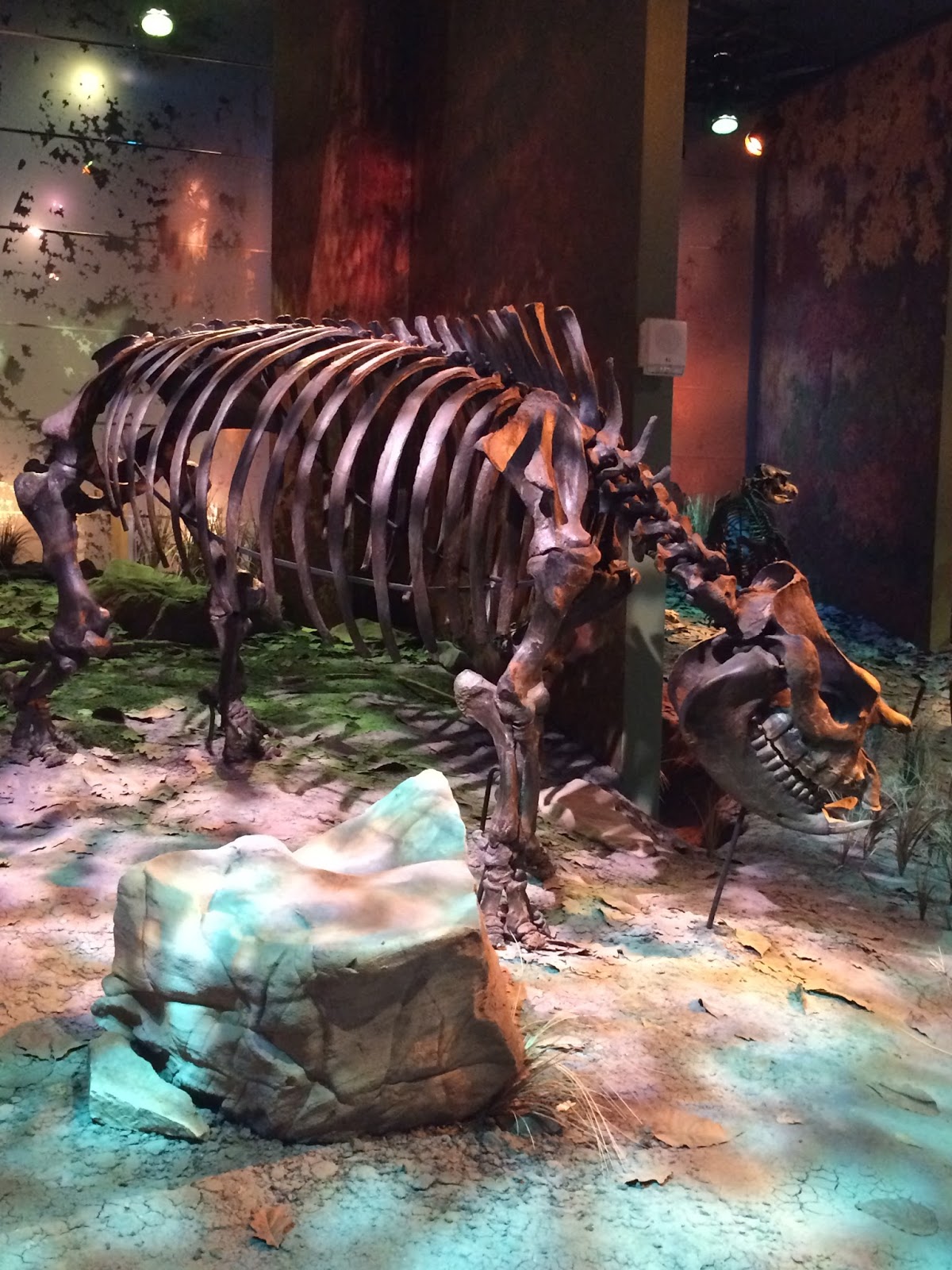 The ShoreXplorers Unexpected Fossils in Gray, Tennessee at the ETSU