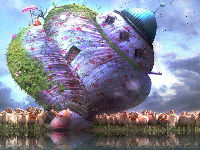 Τα ζώδια και το σπίτι τους