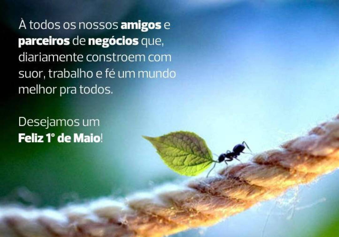 Parabéns trabalhador, nesse dia do trabalho celebre o merecido descanso!