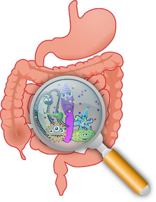 what causes intestinal infection