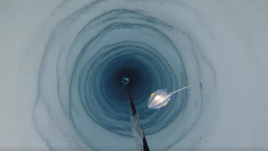 antarktikada-buz-tabakasinin-derinliklerinde-yaratiklar-kesfedildi