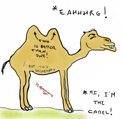 Disegno del cammello di Eratostene