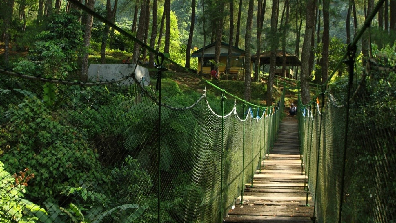 Inilah 6 Lokasi Hutan Wisata di Indonesia Yang Menyajikan