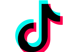 Download TikTok Mod [AD-Free/No Watermark]