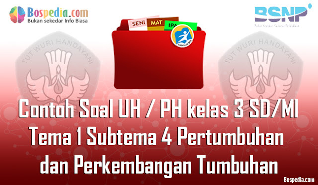 Contoh Soal UH / PH untuk kelas 3 SD/MI Tema 1 Subtema 4 Pertumbuhan dan Perkembangan Tumbuhan