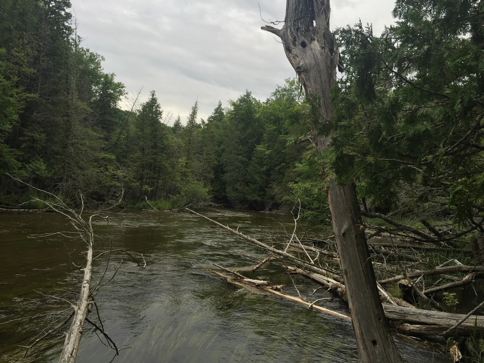 Travel Reviews & Information Benzie County, Michigan / Upper and Lower