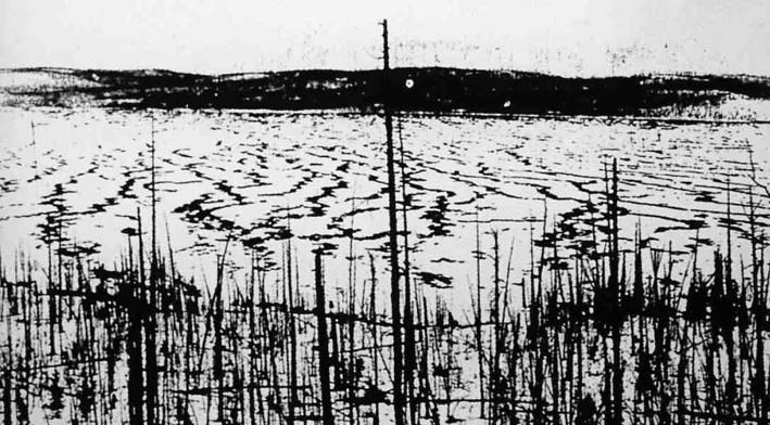 Artículo: El infierno vuela sobre Tunguska 5