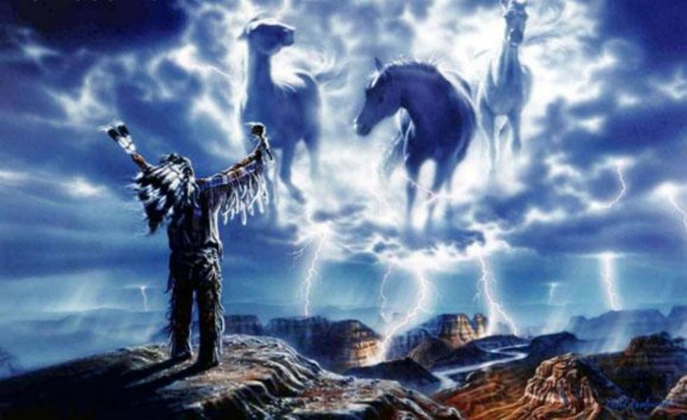 ♥ Violeta Violett ♥ ♥ Animales