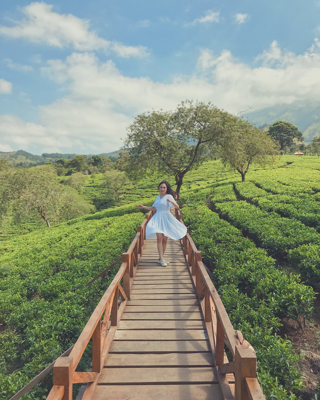 Kebun Teh Wonosari Malang yang Sejuk Destinasi Wisata