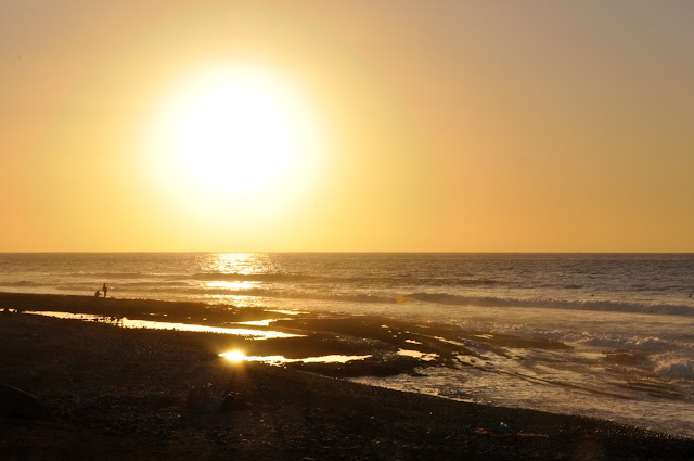 _DSC0377%2B%25282%2529.JPG