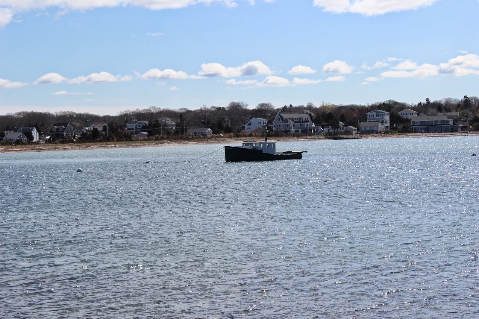 Tahoma Beadworks & Photography Side Trip to West Island, Fairhaven