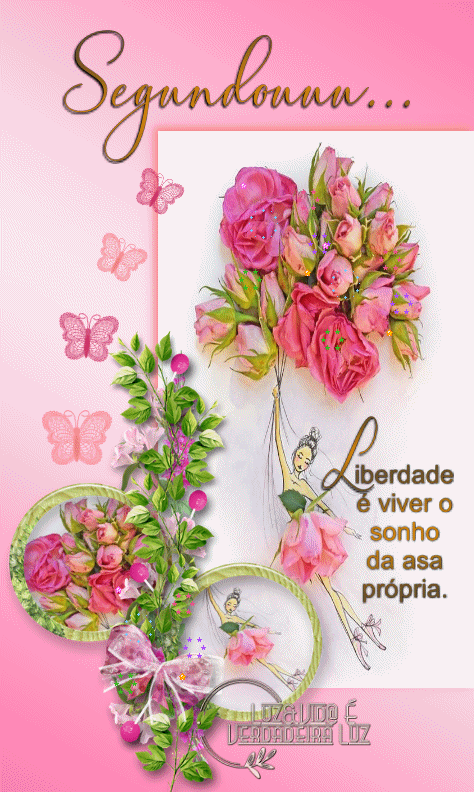 183NOVO-%2528MB%2529maryluz.gif