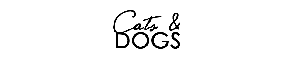 CATS & DOGS - fashion and style diary