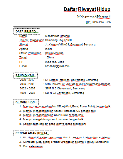 Contoh Format CV Daftar Riwayat Hidup Doc