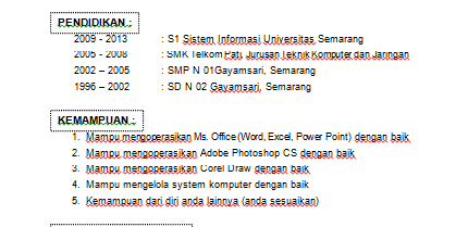 Contoh Format CV Daftar Riwayat Hidup Doc