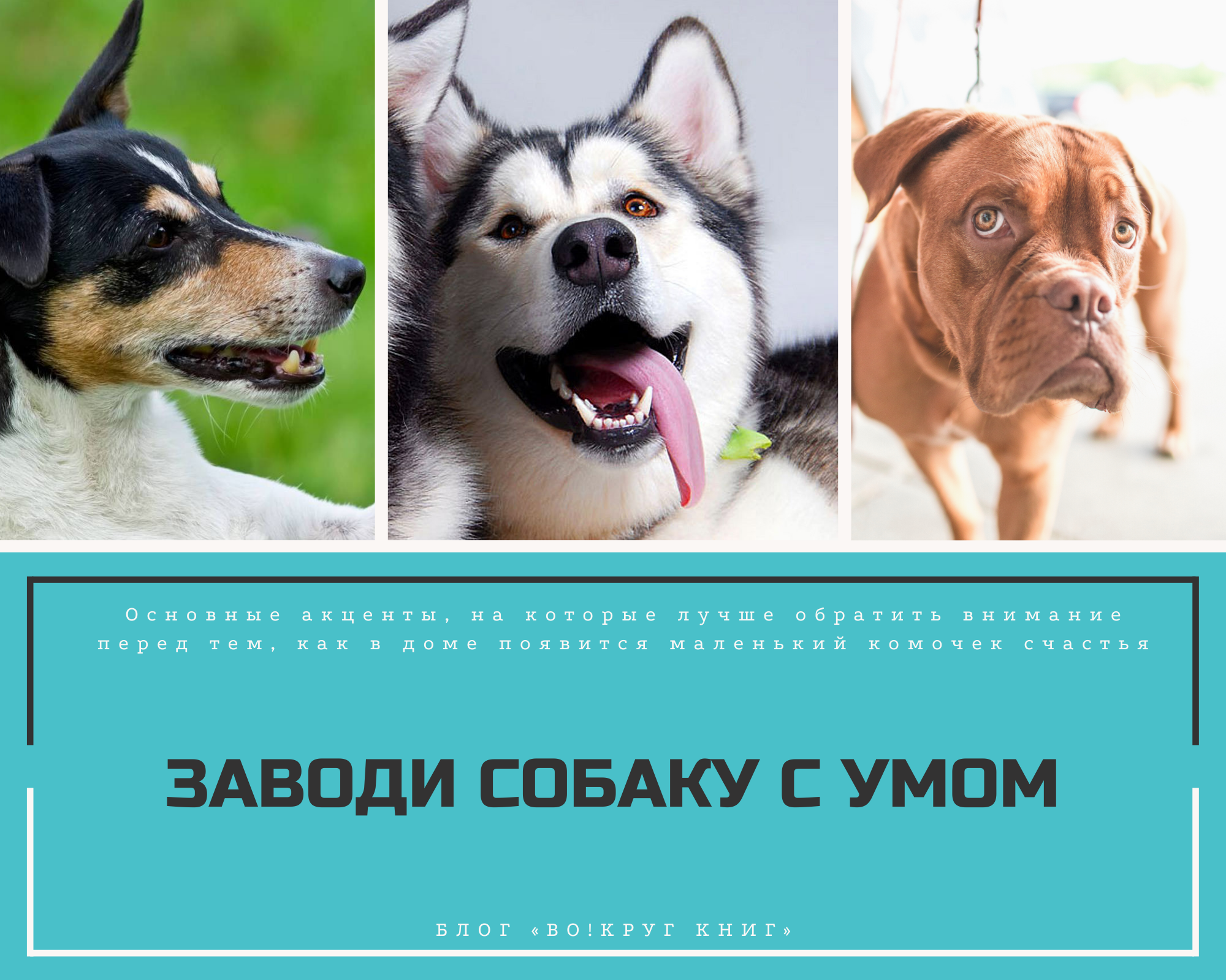 Улучшение общего состояния здоровья