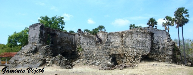 IMGP0880.JPG