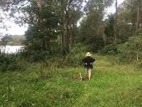 Pulbah Island (Lake Macquarie, NSW, Australia)