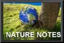 Nature Notes